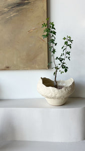 Handmade white ceramic planter with organic shape.
